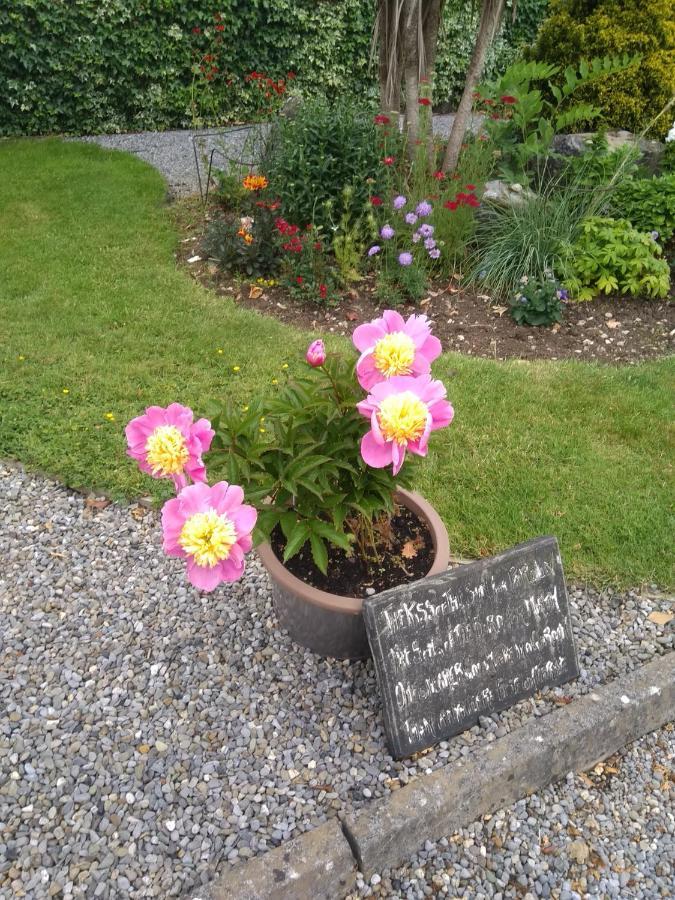 Twin Oaks Bed & Breakfast Kilkenny Exterior foto