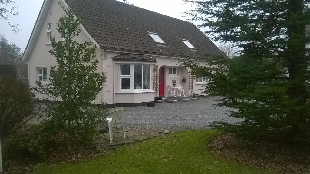 Twin Oaks Bed & Breakfast Kilkenny Exterior foto