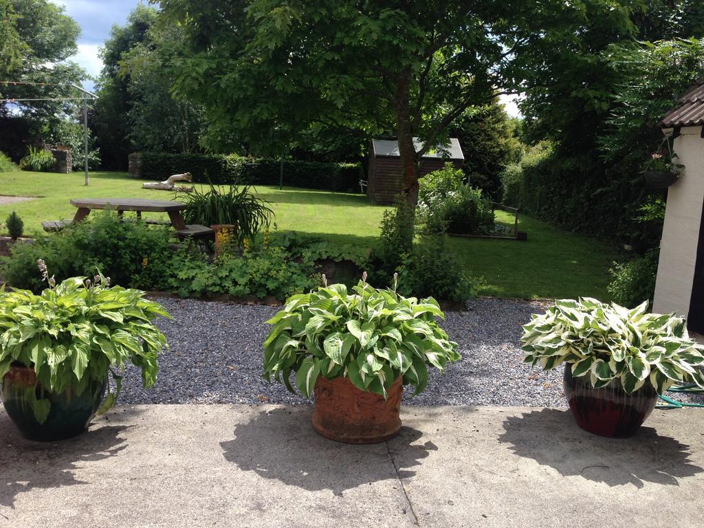Twin Oaks Bed & Breakfast Kilkenny Exterior foto