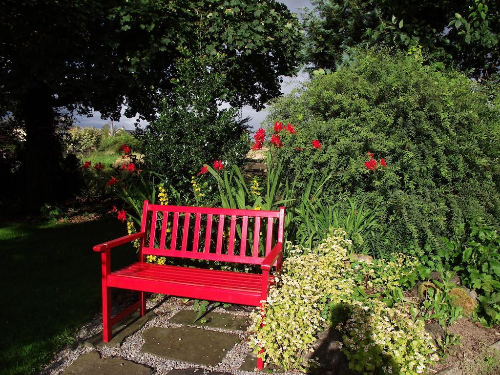 Twin Oaks Bed & Breakfast Kilkenny Exterior foto