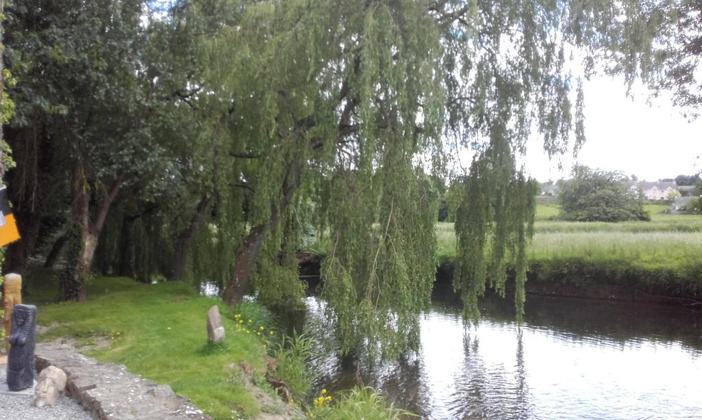 Twin Oaks Bed & Breakfast Kilkenny Exterior foto