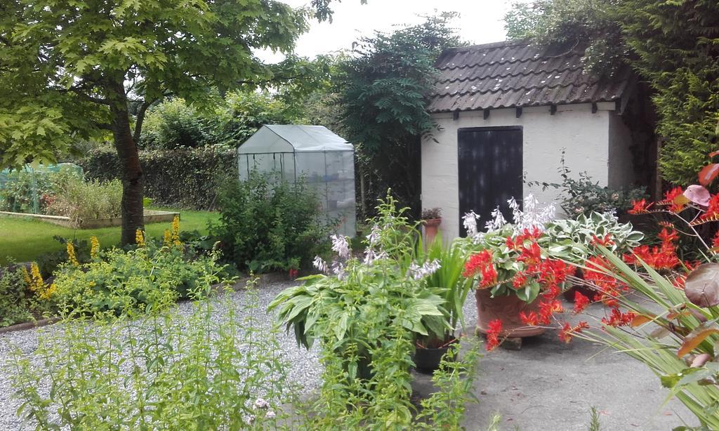 Twin Oaks Bed & Breakfast Kilkenny Exterior foto